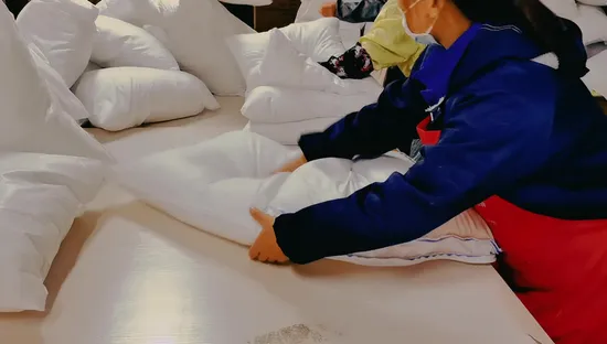 Оптовая продажа от производителя, 100% органический хлопок, гусиное/утиное перо, наполнитель, наполнитель премиум-качества, стандартный размер, подушка для сна для домашней кровати в отеле, в вакуумной упаковке